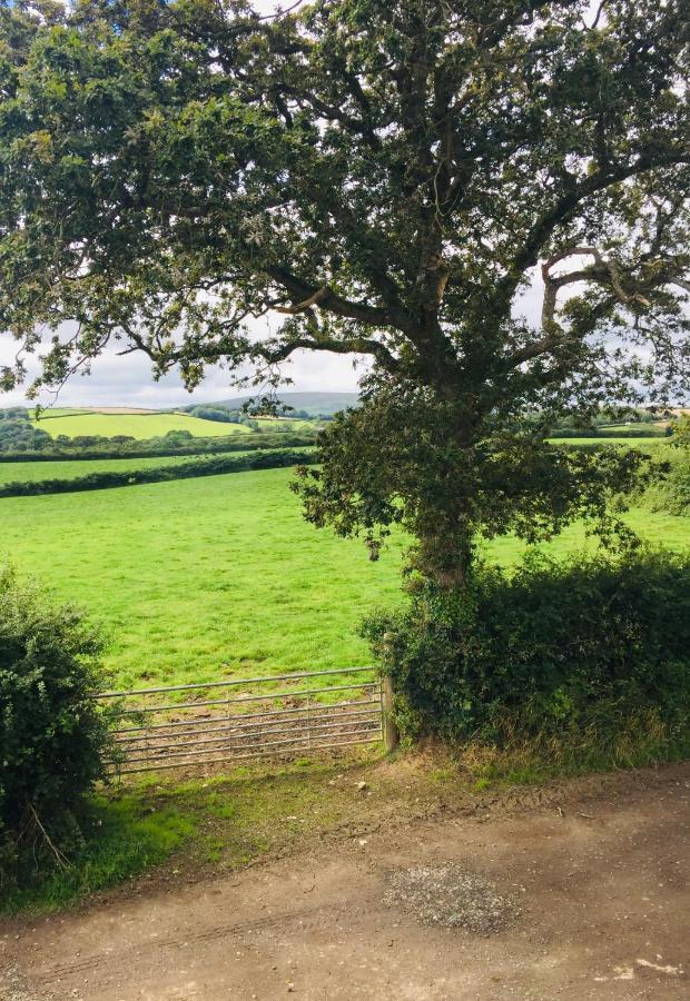 Larksfield Loft Homestay Okehampton